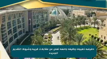 «فرصة ذهبية» وظيفة جامعة تعلن عن مقابلات قريبة وشروط التقديم الجديدة